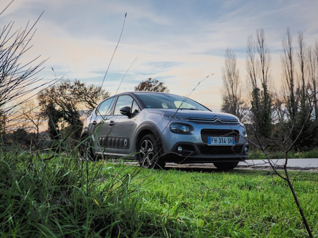 les-5-voitures-les-plus-voles-en-france