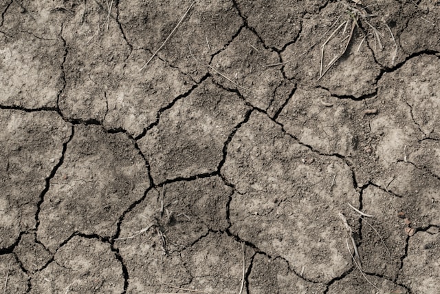 5-jours-de-chance-selon-le-signe-du-zodiaque